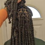 Braids Hairstyles Photos