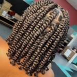 Braids Hairstyles Photos