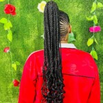 Braids Hairstyles Photos