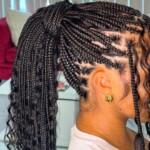Braids Hairstyles Photos