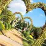 Mzansi Happy Island Theme Park