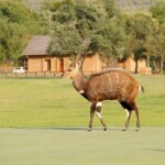 Magalies Park Photos