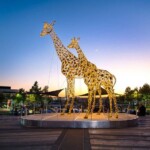 Mall of Africa Photos