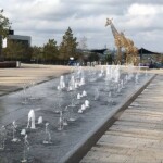 Mall of Africa Photos